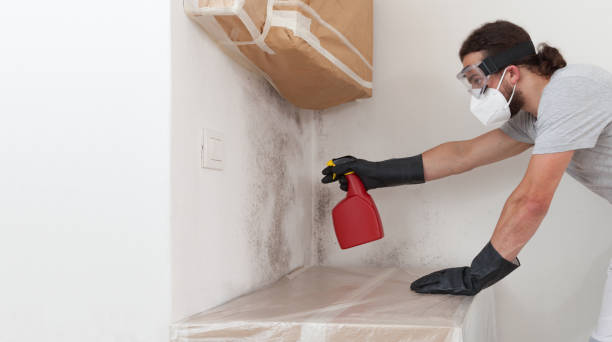 Professional Crawl Space Mold Remediation technician working in Lexington, TX