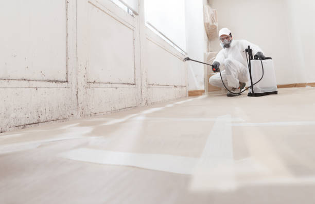 24/7 Emergency Crawl Space Mold Remediation experts in Lexington, TX