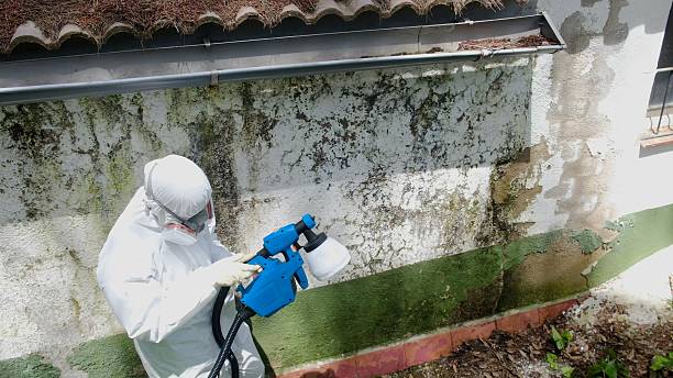 Top rated local Crawl Space Mold Remediation specialists in Lexington, TX